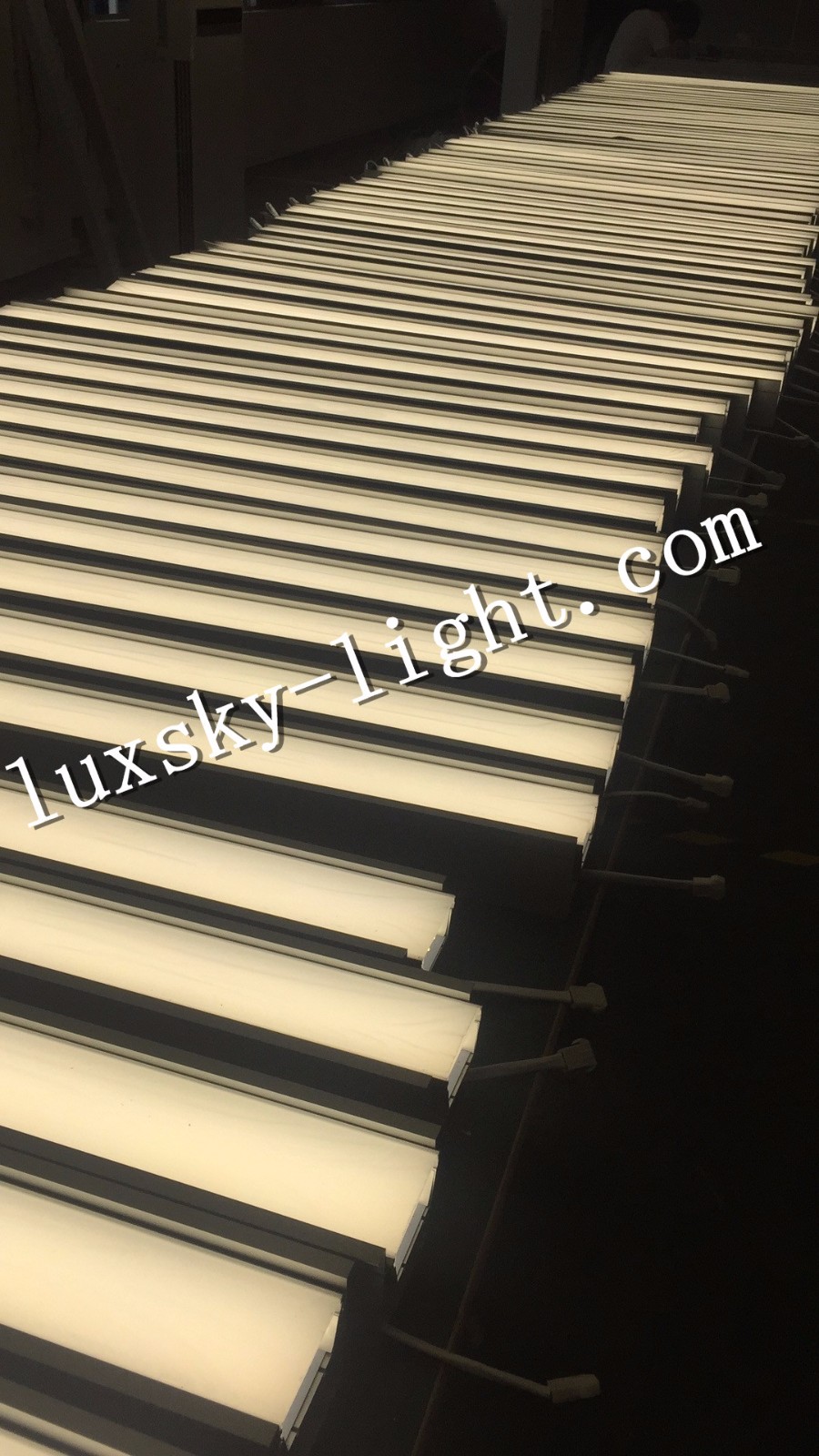 led linear lamps.jpg