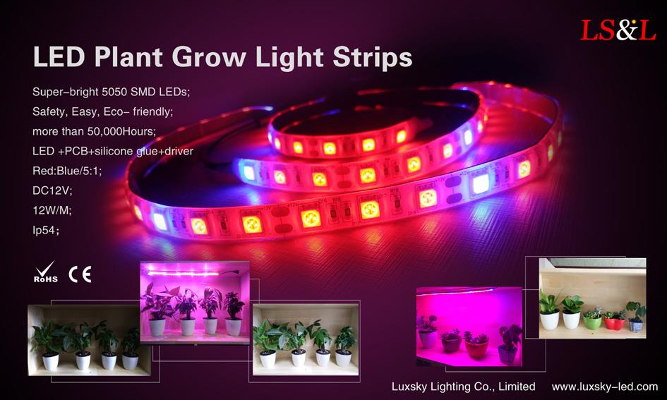 LED grow plant lights .jpg LED grow plant lights .jpg