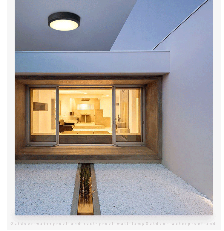 Die-cast aluminum LED ceiling lamp